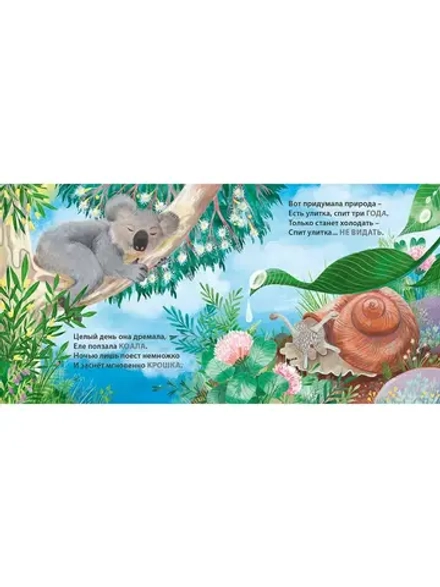 Книжки - картонки. Загадки-рифмы. Кто как спит