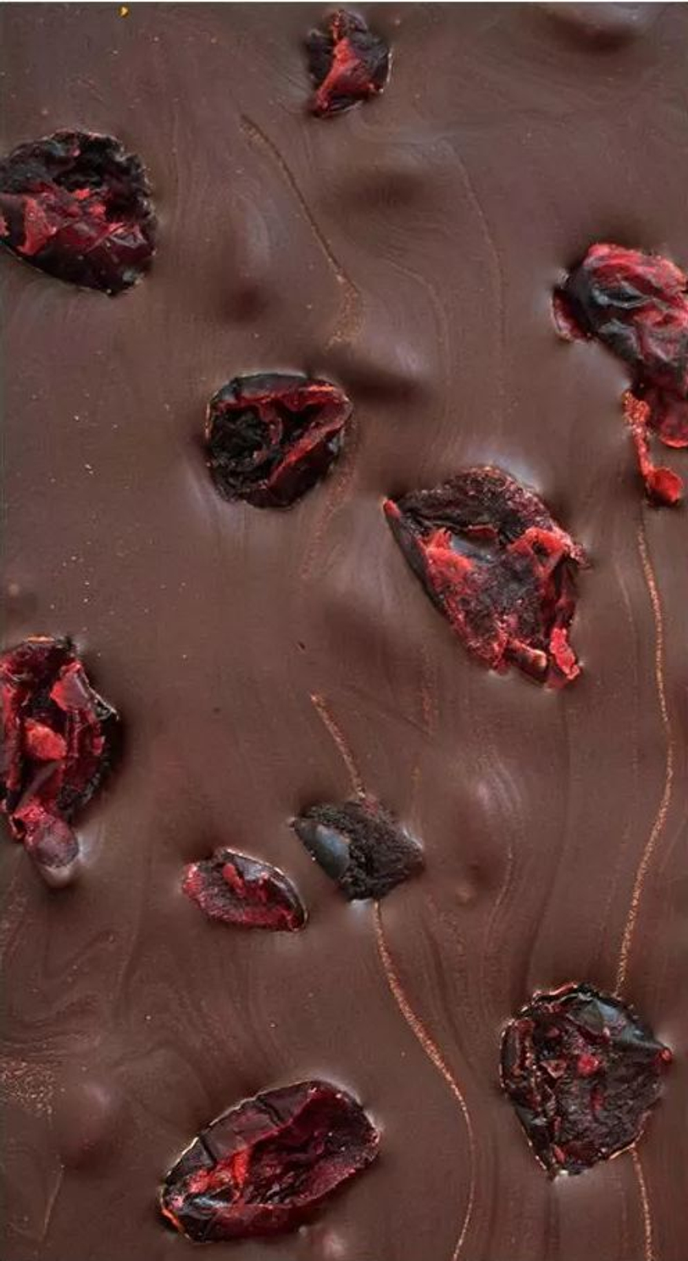 Шоколад тёмный МИНИ с клюквой и кедровым орехом