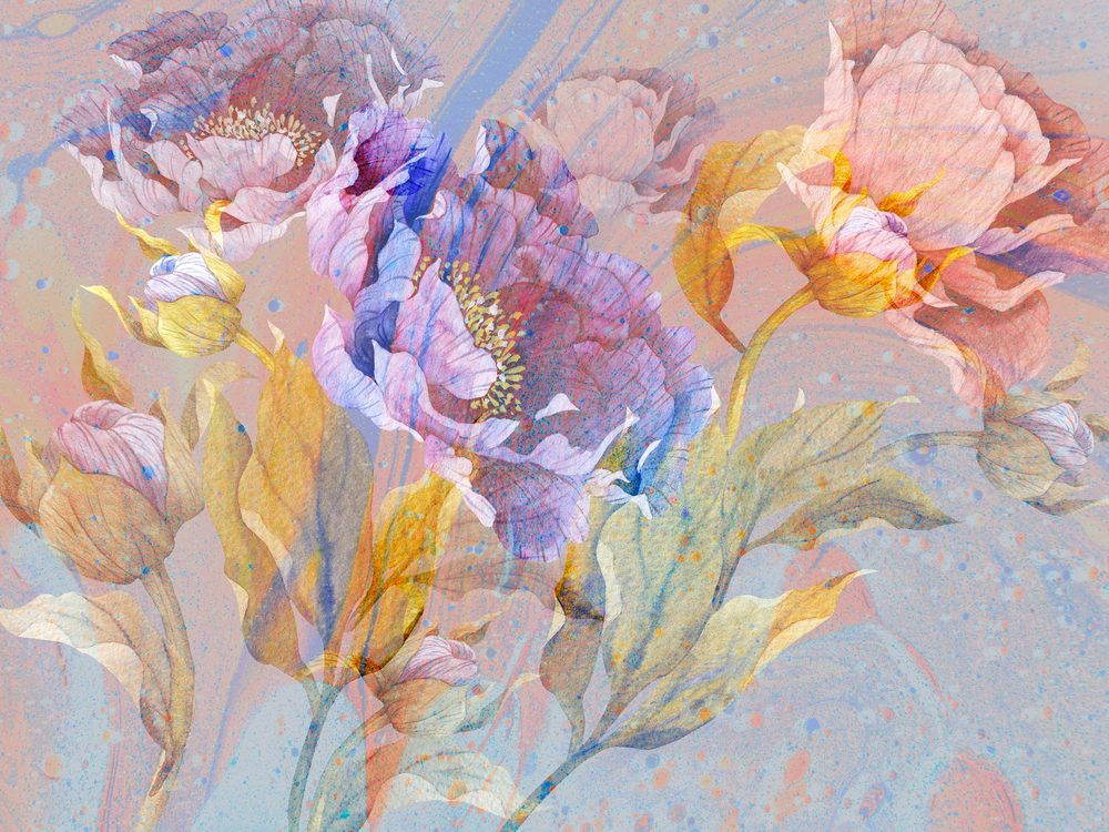 AQUA DE VIDA 3