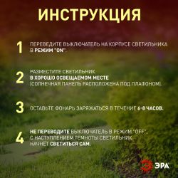 Светильник уличный ЭРА ERASF22-24 на солнечных батареях садовый Факел бамбук 56 см | Садовые декоративные светильники