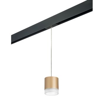 Комплект со светильником 1*GХ53 220V PRORP349080 золото/прозрачный Rullo Pro Lightstar
