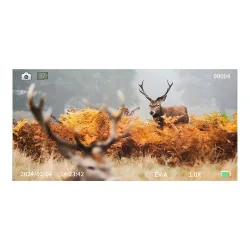Бинокль ночного видения Veber DigiView NB-01 цифровой - видоискатель с оленем