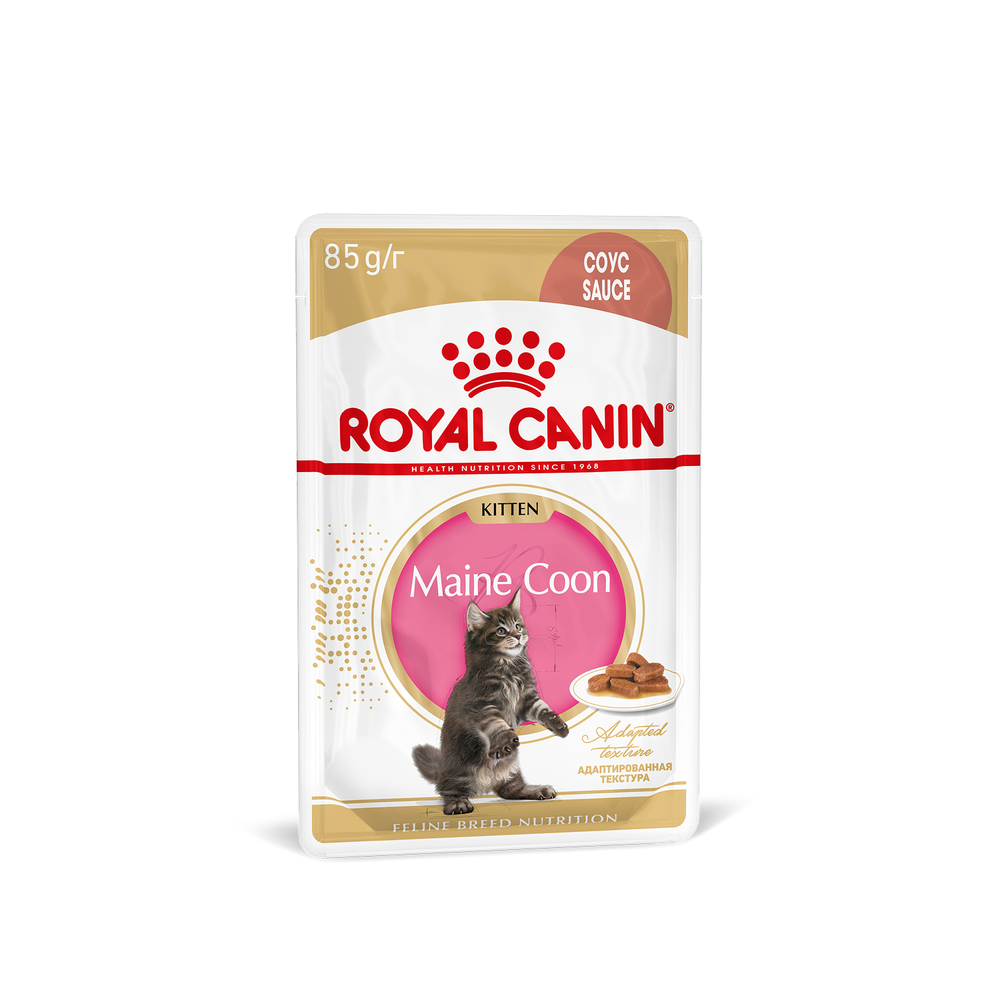 Royal Canin Maine Coon Kitten Мейн Кун Киттен Корм влажный для котят породы Мэйн Кун в возрасте до 15 месяцев соус 85г