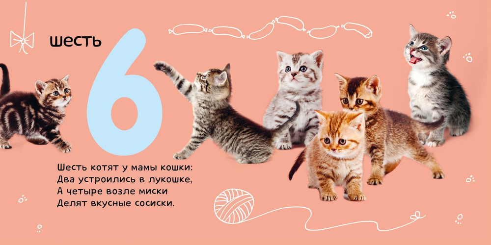Первые слова. Я учу числа. Фотокнига со стихами