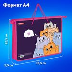 Папка на молнии с ручками ПИФАГОР А4, 1 отделение, пластик, ручки-шнурок, "Cats greetings", 272111