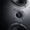 Canton Atelier 11 On Wall Black Matt