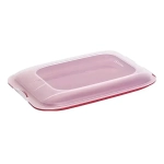 Контейнер пищевой Tanino 25*17*3,5, Кораловый, DRINA