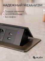 Горизонтальная двойная розетка + 2 USB, бронзовая