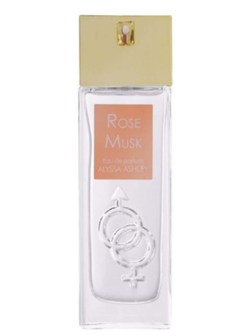 Alyssa Ashley Rose Musk