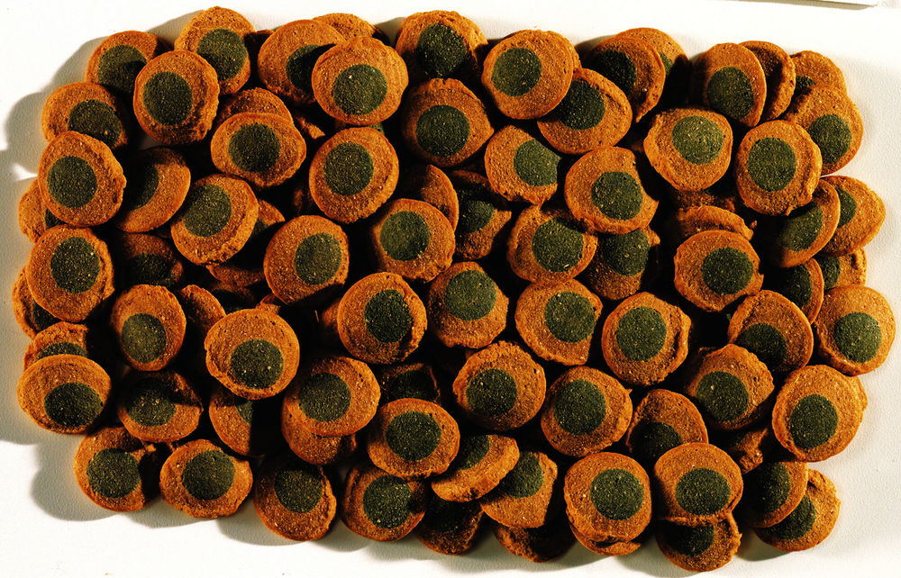 TETRA Pleco Spirulina Wafers Корм для донных рыб в таблетках, 15 г