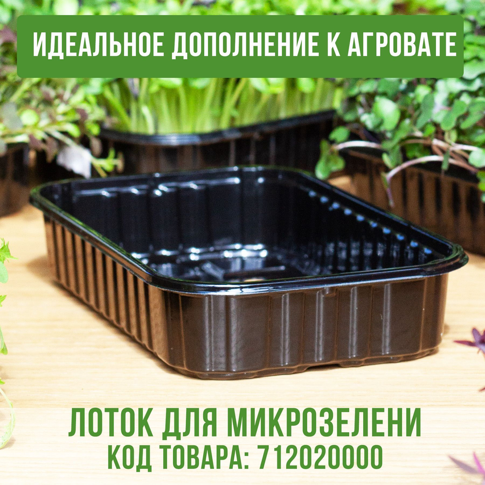 Агровата для выращивания микрозелени набор 30шт / 16,5*10*2 см /субстрат для выращивания микрозелени и растений