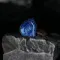Kinera Imperial Loki Divine Mark Blue