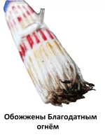 Белые Иерусалимские свечи 24см 33шт