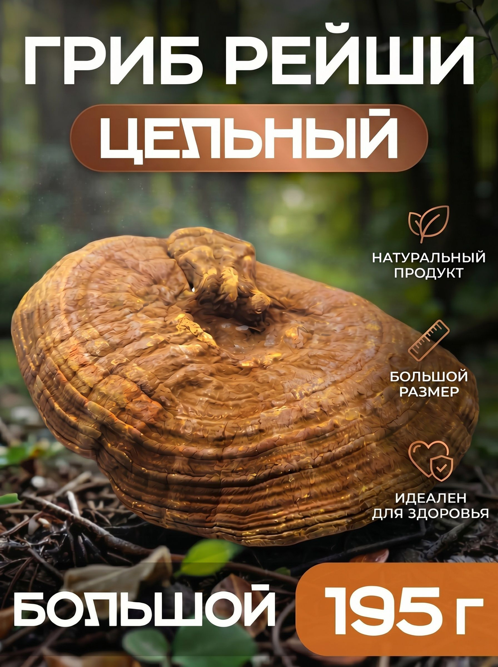 Гриб Рейши цельный.