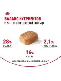 Chihuahua Корм для собак 1,5кг