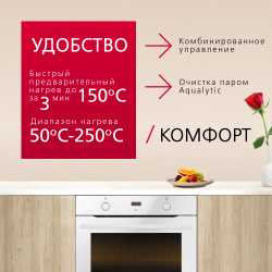 Духовой шкаф Hansa BakingPro BOEW683020