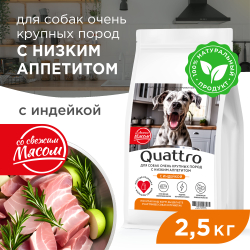 Корм сухой для взрослых собак очень крупных пород, премиум полнорационный комплекс, для собак с низким аппетитом, с индейкой, 2,5 кг, QUATTRO