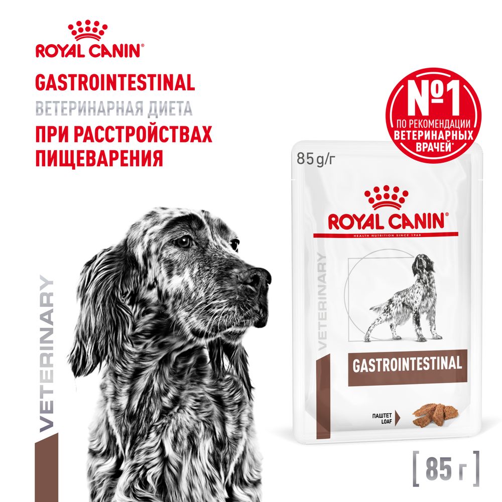 Royal Canin Gastrointestinal Гастроинтестинал Корм влажный диета для взрослых собак при расстройствах пищеварения паштет 85г Royal Canin Gastrointestinal Гастроинтестинал Корм влажный диета для взрослых собак при расстройствах пищеварения паштет 85г