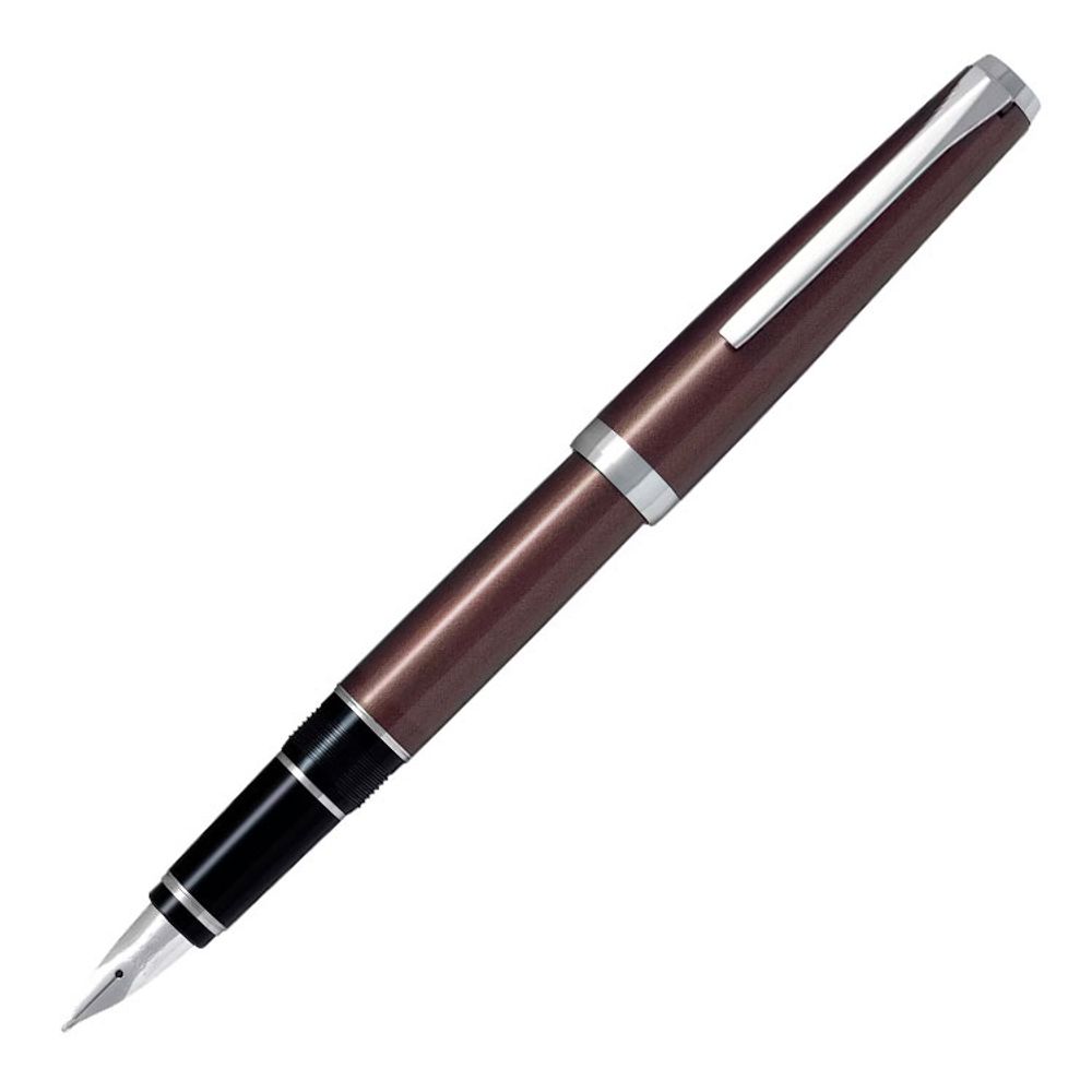 Перьевая ручка PILOT Elabo с пером EF (FE25SR-BNSEF)