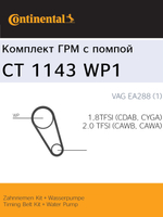 Помпа с ремнем Continental CT1143WP1