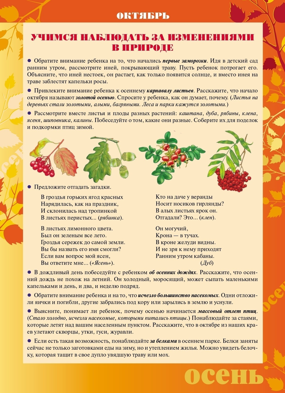 Материалы для оформления родительского уголка в групповой раздевалке. Переиздание. Подготовительная группа. Выпуск 1 (сентябрь-февраль). ФГОС.