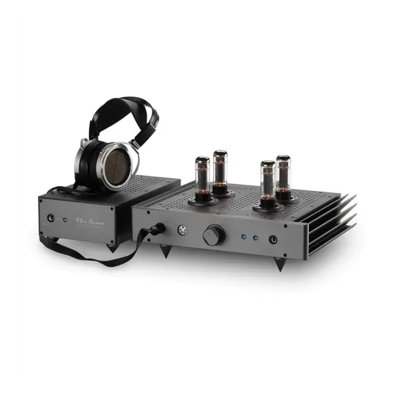 HeadAmp Blue Hawaii Special Edition Satin Black