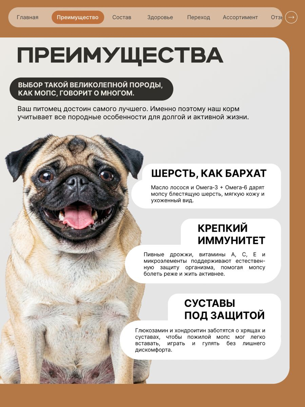 Корм сухой для пожилых собак породы Мопс старше 7 лет, с индейкой, 800 гр, QUATTRO