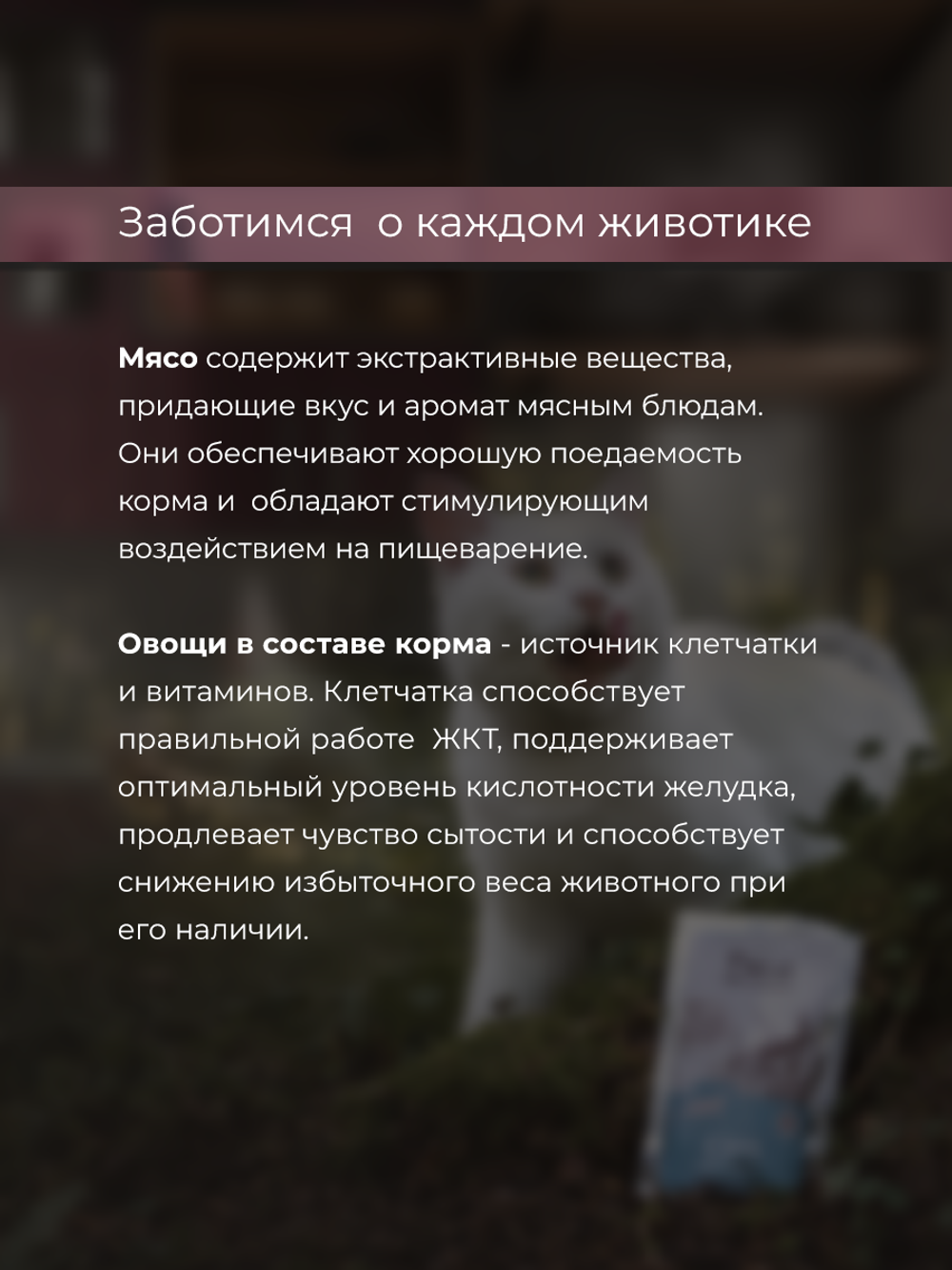 НАБОР Консервы DELISH Super Premium для кошек, индейка/овощи/клюква - 10 шт х 80 гр