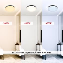 Светильник потолочный светодиодный ЭРА Классик с ДУ Relict 48 Pult SPB-6-60-RC BK 60W 3000-6500K Черный | Светильники SPB-6 с ДУ
