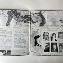 Винтажная виниловая пластинка LP The Legendary Pink Dots Island Of Jewels (Бельгия 1986)