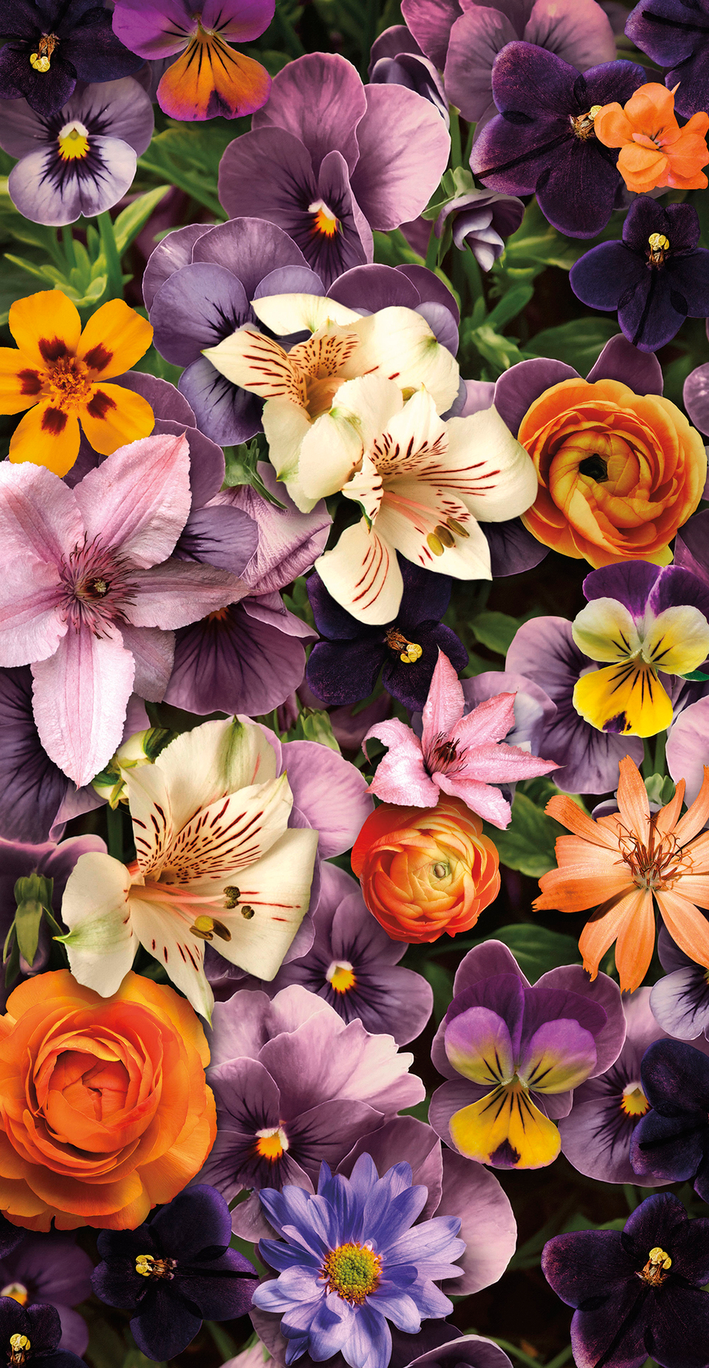 Коллекция Flower Dreams