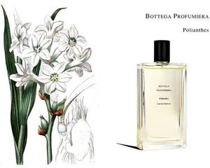 Bottega Profumiera Polianthes