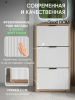 Закрытая обувница в прихожую ОБВ-69-7-1