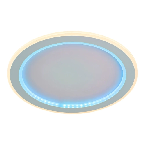 Потолочный светодиодный светильник F-Promo Lema 4697-4C