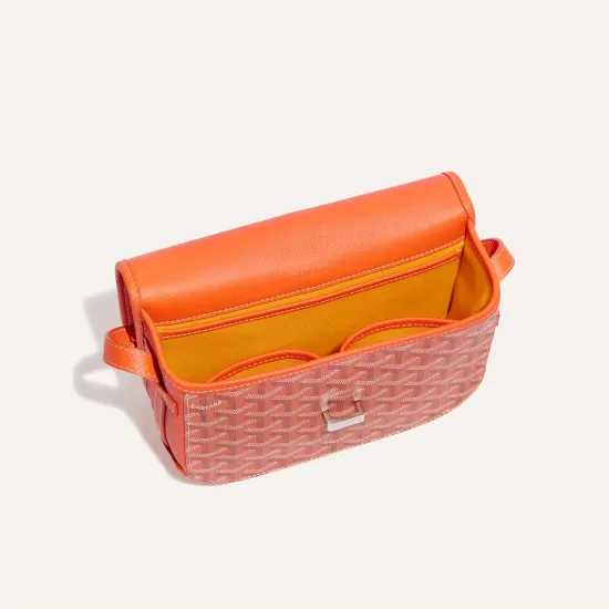 Сумка Goyard Belvedere PM