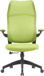 Кресло Cactus CS-MC505 салатовый сиденье салатовый сетка/ткань крестов. пластик пластик черный