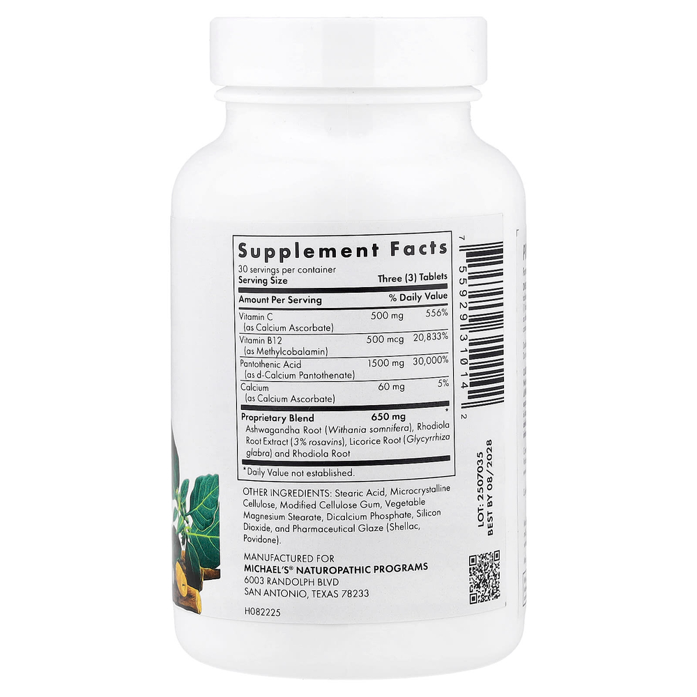 Michael's Health, Energy Adrenal Support, 90 вегетарианских таблеток