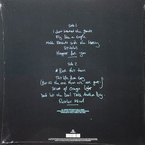 Stereophonics / Kind (LP)