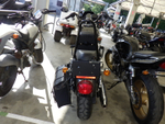 Harley-Davidson Sportster XL1200L 2008