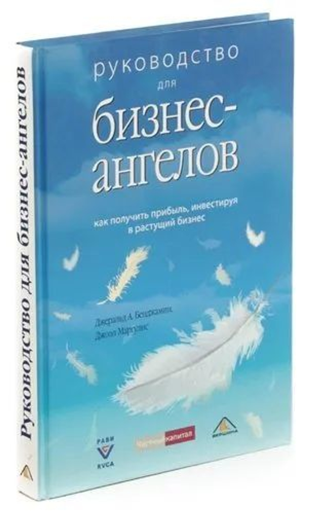 Руководство для бизнес-ангелов. Как получить прибыль, инвестируя в растущий бизнес