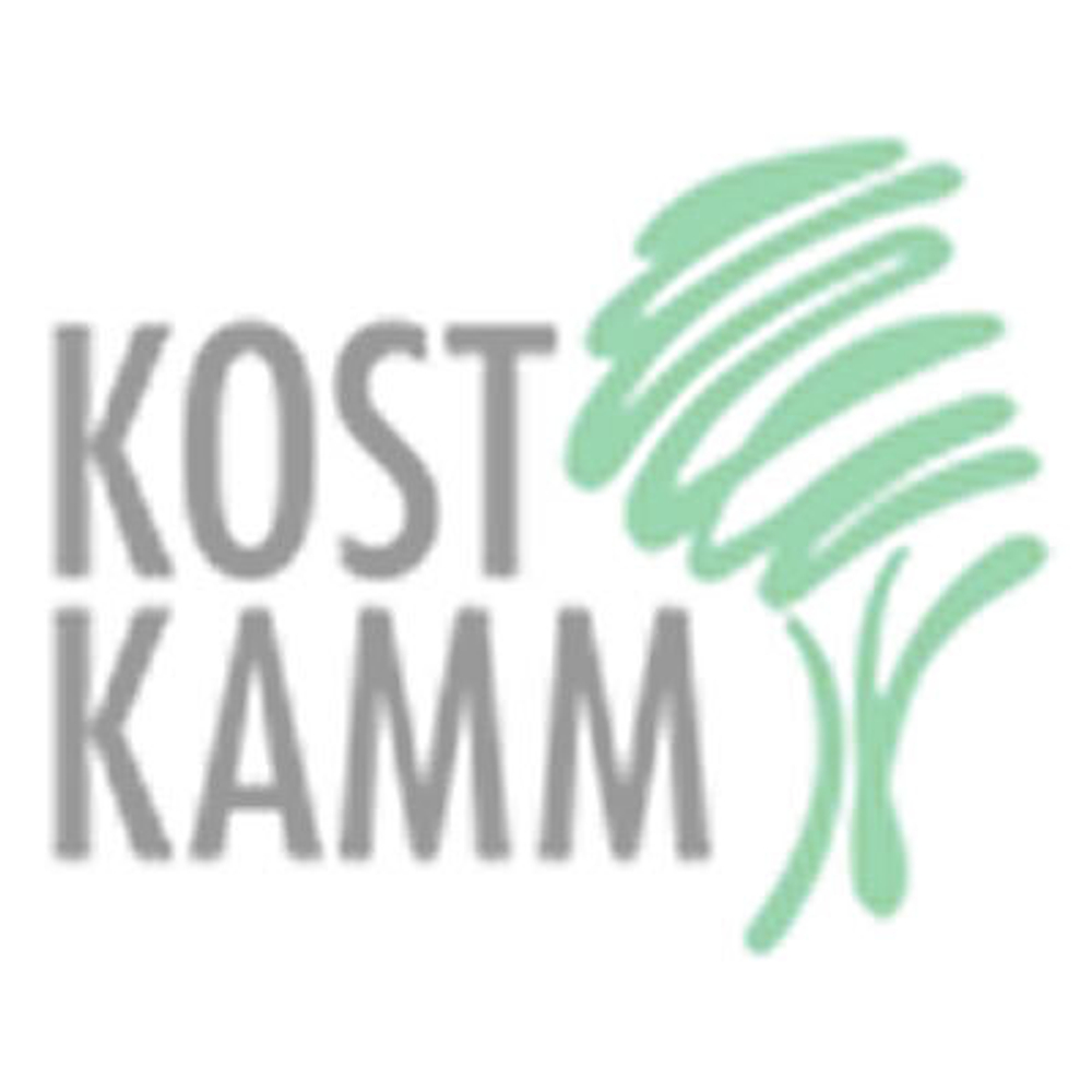 Расческа для стрижки волос, тонкая, очень жесткая/жесткая KOST KAMM