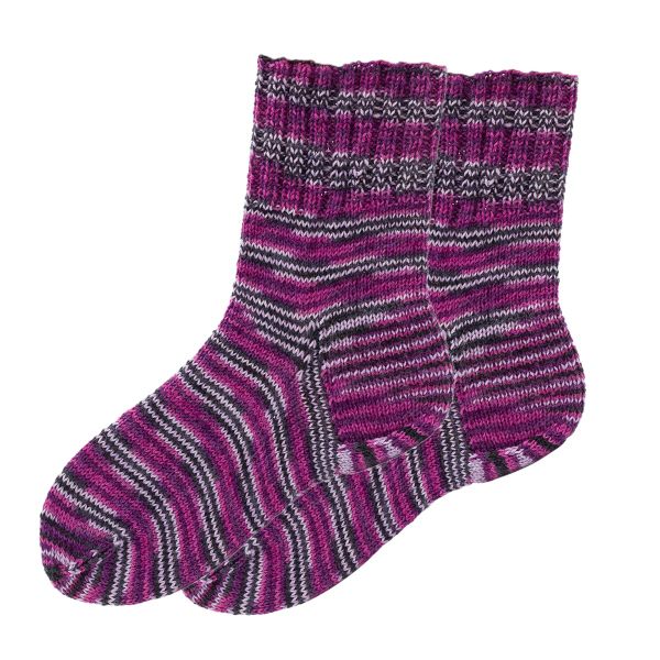 Пряжа Astra Premium (Астра Премиум) Карелия носочная (Karelia sock) / уп.2 мот. по 100 г, 400 м, 1007