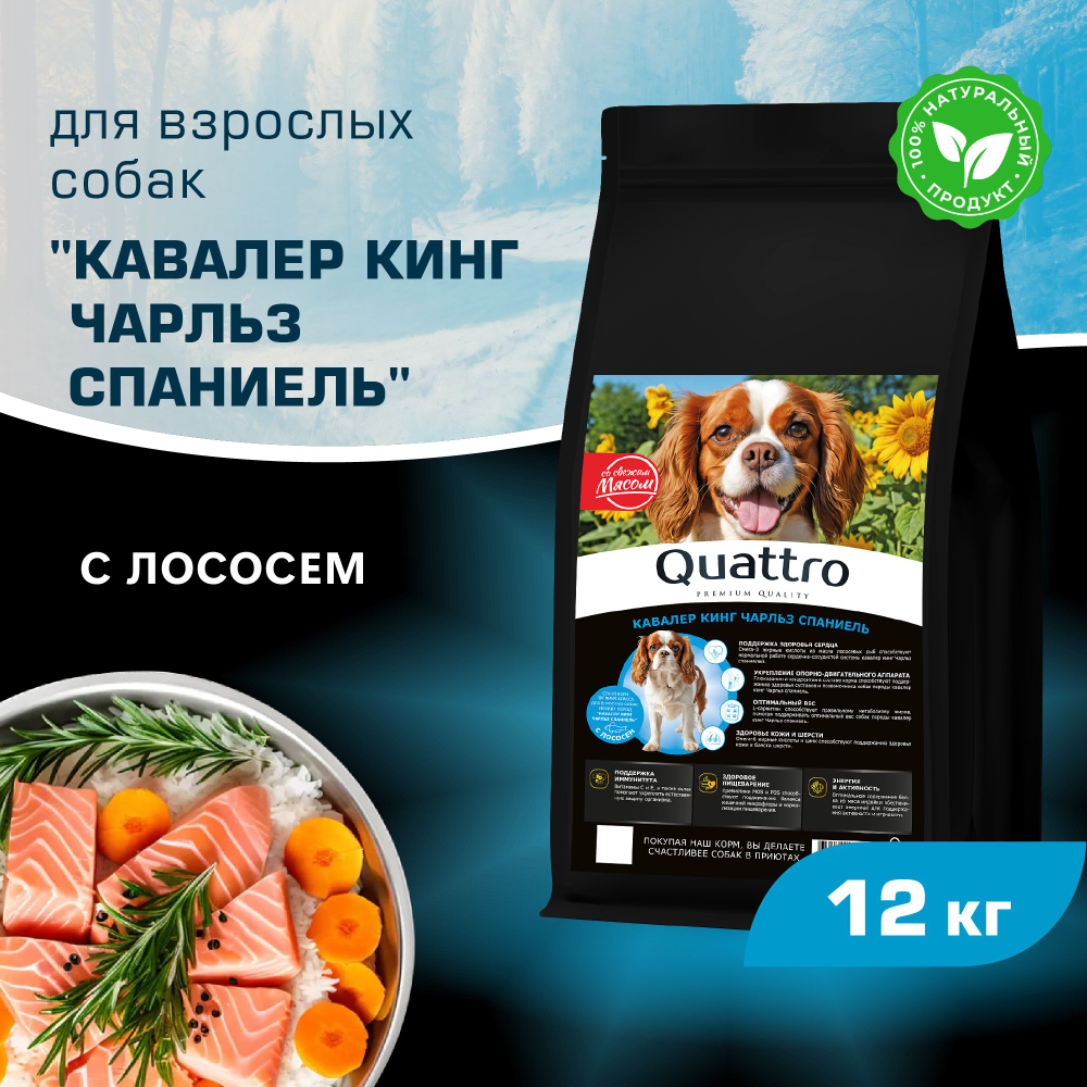 Корм сухой для взрослых собак породы Кавалер кинг Чарльз спаниель, с лососем, 12 кг, QUATTRO