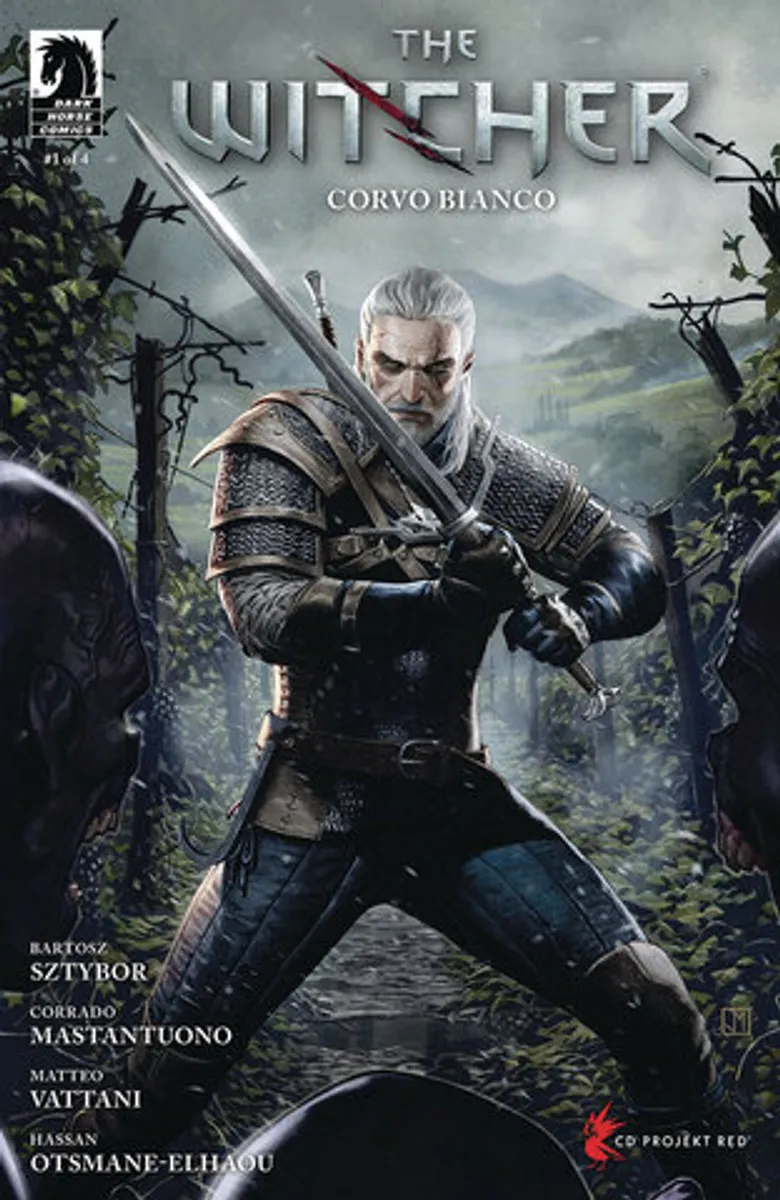 Witcher Corvo Bianco #1 (Cover D)