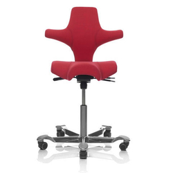 Capisco 8106