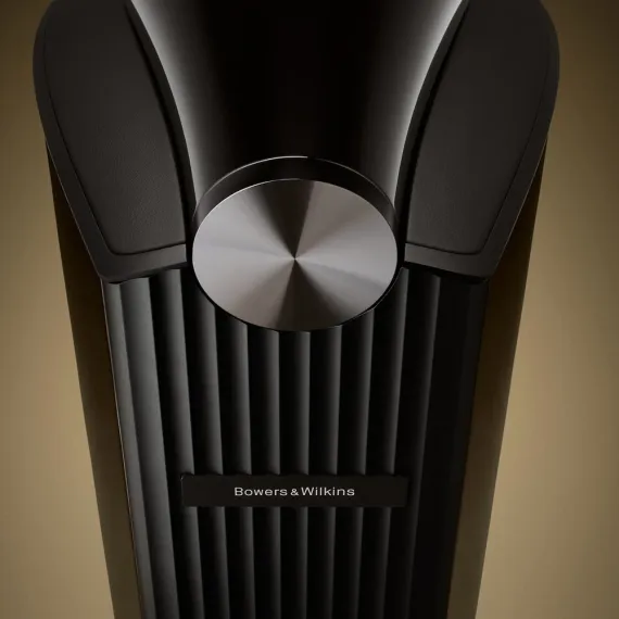 Bowers &amp; Wilkins 801 D5 Dark Walnut