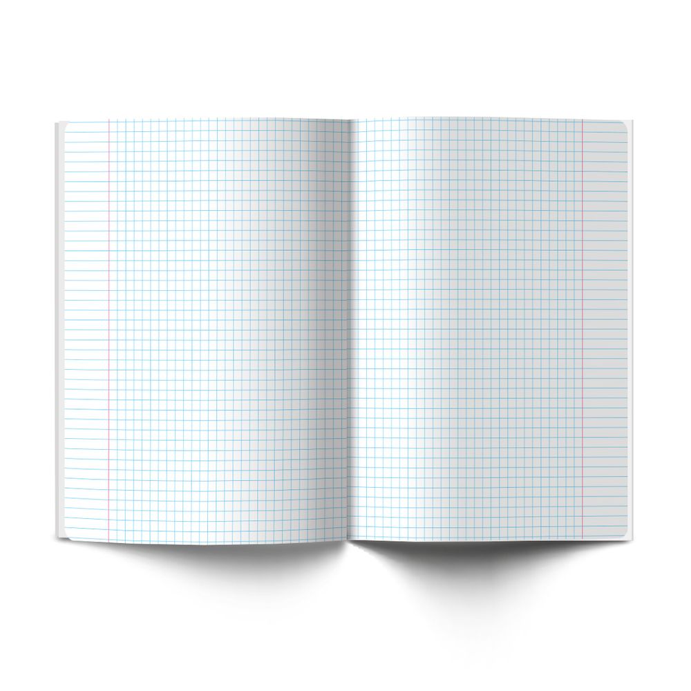Комплект тетрадей со справочными материалами Архивариус, пластик.обл. 320мкм с тис.золот.фольгой. A5 48 л. 12 шт на скобе 65 г/м², белизна 100% 1 шт клетка/линия, 01889 12 предметов, Светоч Т300