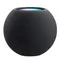 Apple Homepod