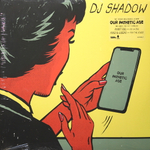 DJ Shadow / Our Pathetic Age (2LP)