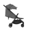 Коляска ANEX iQ 2 в 1 lune